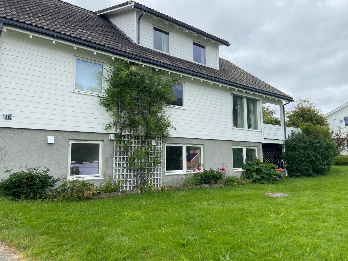 Lofoten Overnatting - Ballstad Ngoại thất bức ảnh